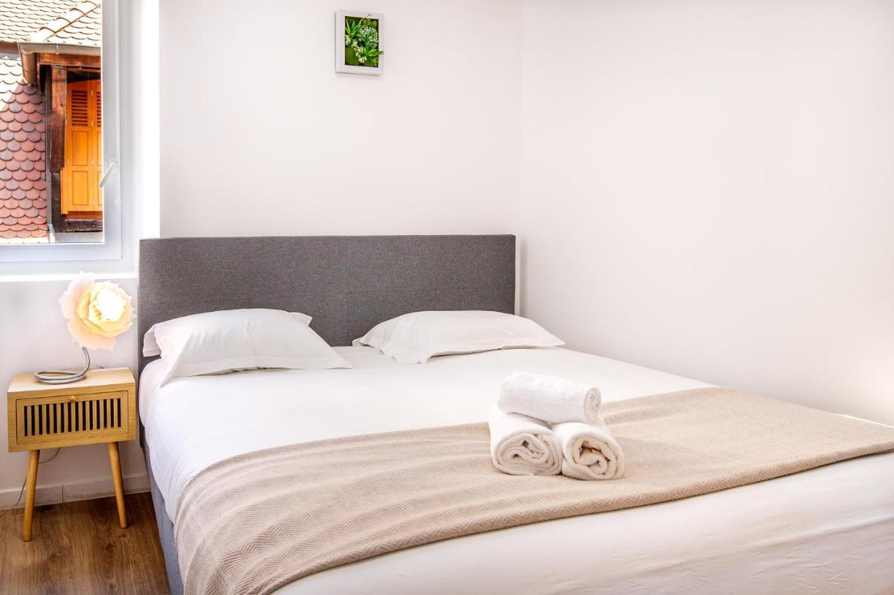 Cosmo Ideal Famille Rue Carnot آنسي المظهر الخارجي الصورة